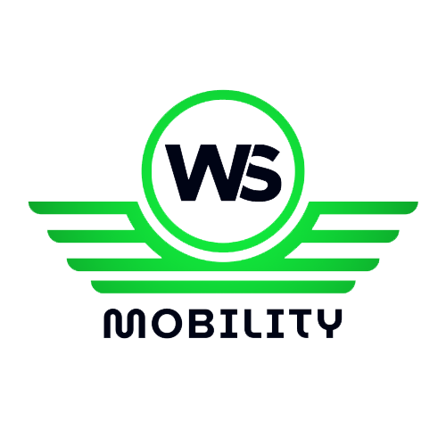 electric vehicle franchise